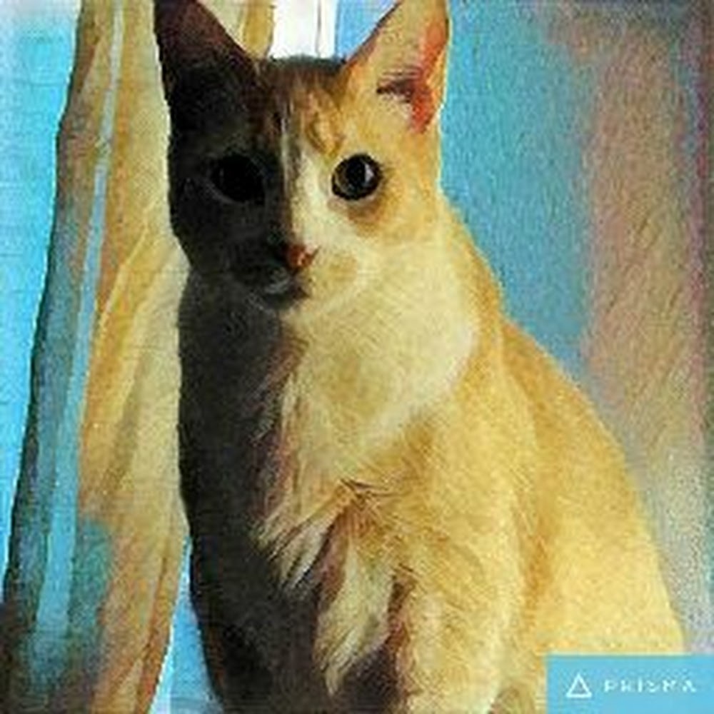 Meet your Posher, Boop